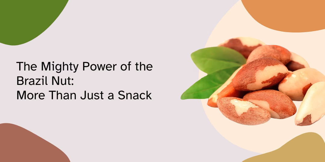 The Mighty Power of the Brazil Nut: More Than Just a Snack