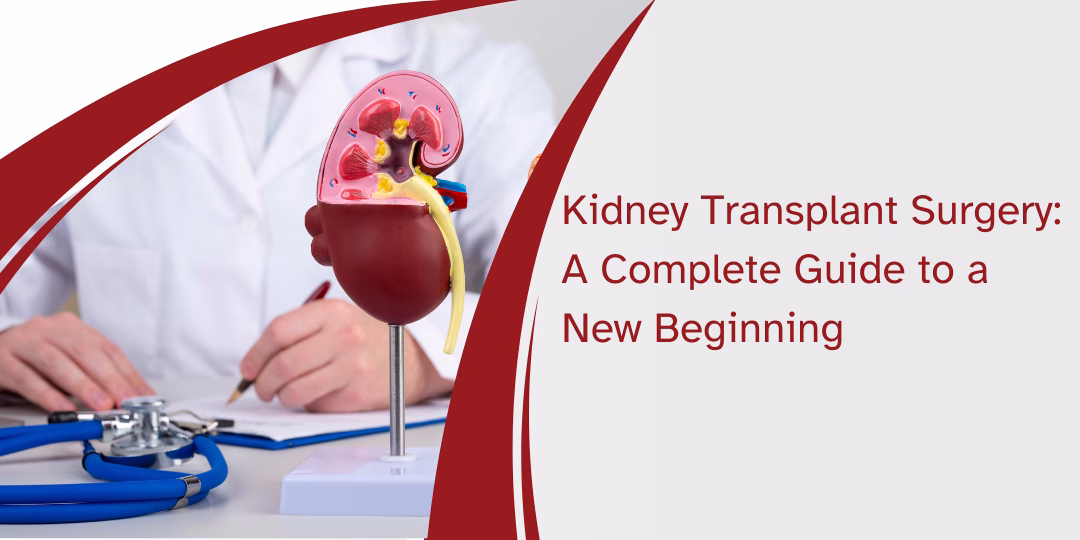 Kidney Transplant Surgery: A Complete Guide A New Beginning